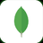 mongodb.png-icon